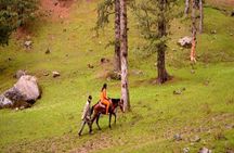 Private Custom Tour: Gulmarg local Sightseeing with guide