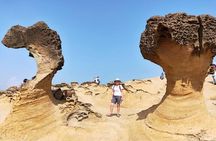 Half Day Private Tour to Yangmingshan National Park and Yehliu Geopark