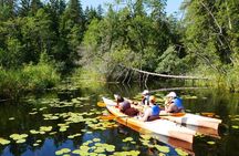 Kayaking down Sventoji River (mini)