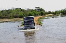 Kumana National Park Private Safari