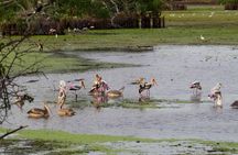 Kumana National Park Private Safari