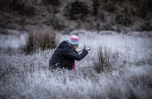 Private Half Day Photography Tour of Queenstown | Skippers | Glenorchy