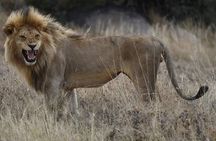 4 Days Tanzania Safari