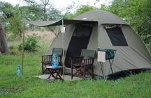 4 Days Tanzania Safari