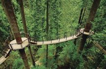 Vancouver Perfect Day Tour Grouse Mountain`& Capilano Suspention Bridge Private