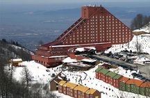Sapanca and Zoo Private Tour From Istanbul - VIP Minivan - Best Quality 