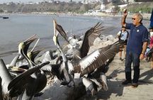 Lima South: Visit Pyramids, a Vibrant Wharf, & Bohemian Barranco