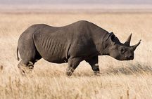 5 Day: Spectacular View of Ngorongoro Crater