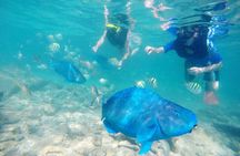 Aruba De Palm Island All-Inclusive Day Trip with Transport 