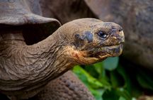4-day Galapagos on a Budget Experience