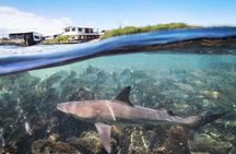8-day Galapagos on a Budget: 3 Islands Experience
