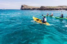 6-day Galapagos on a Budget Experience