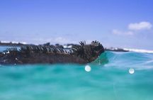 5-day Galapagos Island Hopping Adventure Expedition