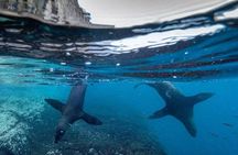 6-day Galapagos on a Budget Experience