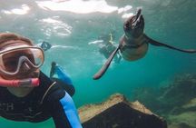 7-day Galapagos on a Budget Experience