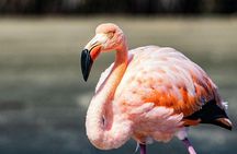 7-day Galapagos on a Budget Experience