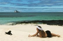 8-day Galapagos on a Budget: 3 Islands Experience