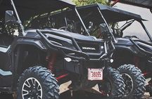 Buggy Tour in Jaco