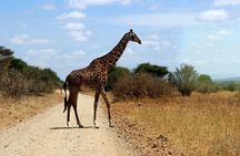 2 Days /1 Night safari to Mikumi