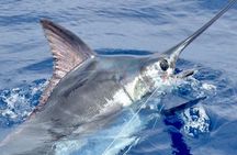 6 Hour Fishing Charter