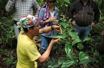 Amazon Untamed Expedition 3 Days and 2 Nights pacaya samiria 