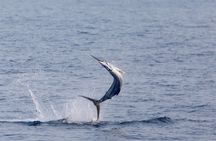 Full Day Sportsman/Enthusiast Charter