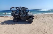 Buggy trip in makadi