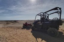 Buggy trip in makadi
