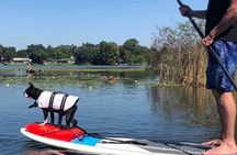 Paddle with Pups in Paradise - Paddleboard or Kayak