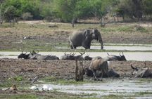 Wilpattu National Park 4-Hours Safari | with Naturalist