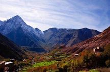 Shared Group Day Trip to Imlil Valley from Marrakech