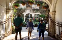 Palm Beach Sightseeing Tour