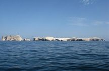 Ballestas Islands Boat Tour in Paracas