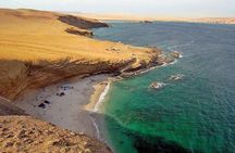 Paracas National Reserve Half Day Tour