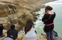 Paracas National Reserve Half-Day Tour