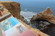 Paracas National Reserve Half Day Tour