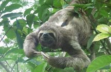 10-Day Expeditions in Dorado Lake Pacaya Samiria National Reserve