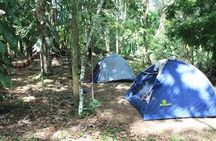 10-Day Expeditions in Dorado Lake Pacaya Samiria National Reserve