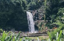 Custom Day Trip in Bali