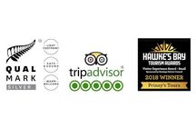 Top-Rated Hawke’s Bay Wine Tour - Small Group