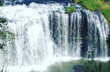 Private Tour: Tropical Rainforest and Waterfalls Day Trip from Cairns