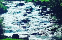 Private Tour: Tropical Rainforest and Waterfalls Day Trip from Cairns