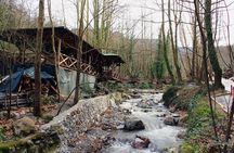 Sapanca And Masukiye Tour With Lunch - Full Day