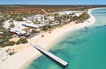 4-Day Coastal Loop via Monkey Mia Dolphins Kalbarri & Pinnacles