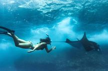 Nusa Penida West trip with snorkeling at 3 spot with Free Meals