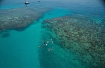 Ocean Freedom Great Barrier Reef Luxury Snorkel and Dive Cruise