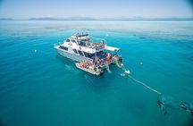 Ocean Freedom Great Barrier Reef Luxury Snorkel and Dive Cruise