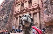 Private Petra Full-Day Trip from Aqaba City