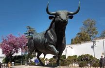 Visita Guiada Ronda 