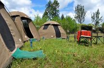 5 days into the heart of serengeti (serengeti, ngorongoro, lake manyara)